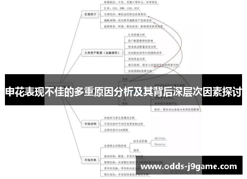 申花表现不佳的多重原因分析及其背后深层次因素探讨