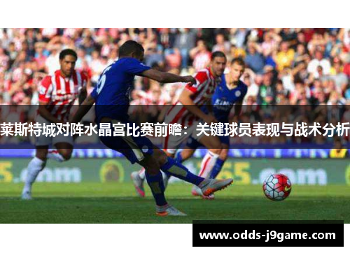 莱斯特城对阵水晶宫比赛前瞻:关键球员表现与战术分析