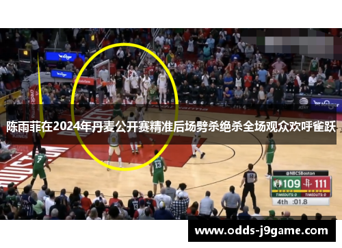 陈雨菲在2024年丹麦公开赛精准后场劈杀绝杀全场观众欢呼雀跃