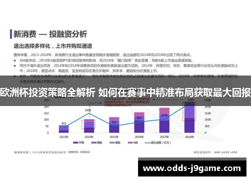 欧洲杯投资策略全解析 如何在赛事中精准布局获取最大回报