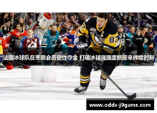 法国冰球队在冬奥会历史性夺金 打破冰球强国垄断迎来辉煌时刻