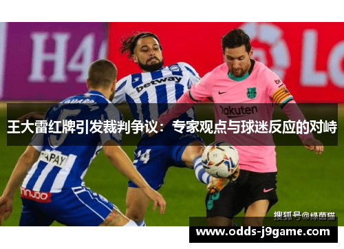王大雷红牌引发裁判争议：专家观点与球迷反应的对峙