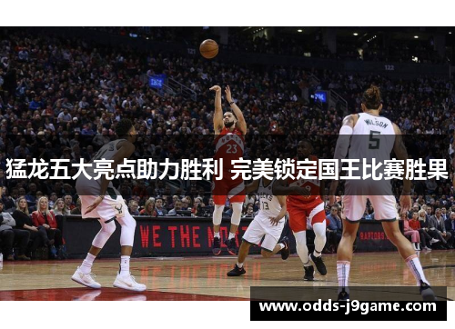 猛龙五大亮点助力胜利 完美锁定国王比赛胜果